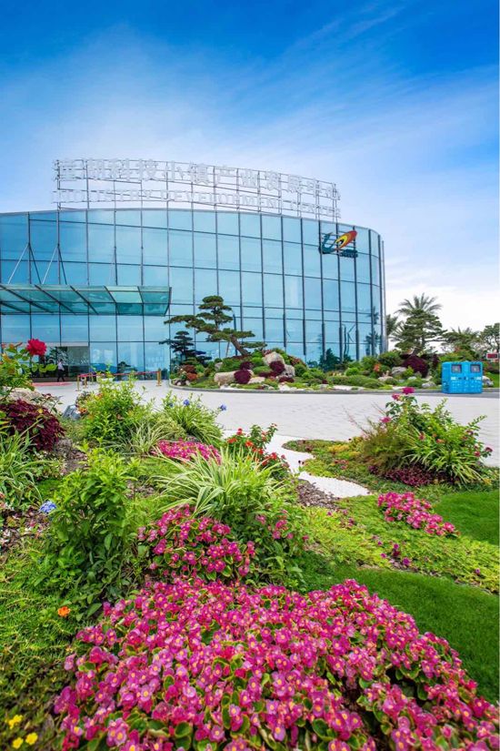 微信图片_20190123194754