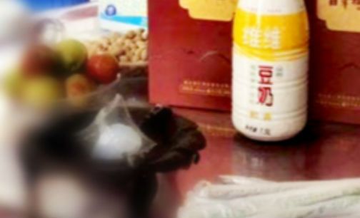 维维豆奶2版