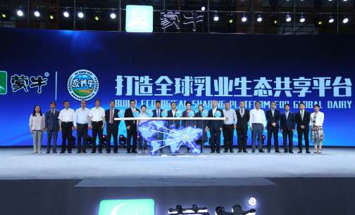 图片9