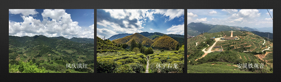 图片4