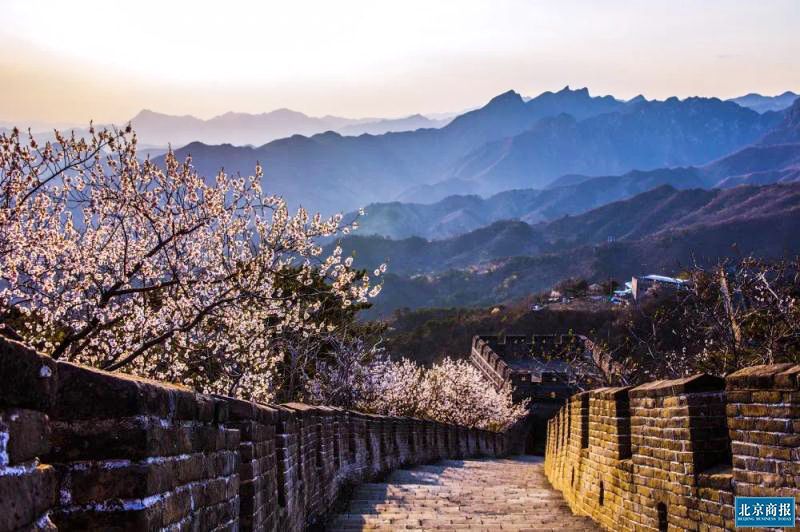 微信图片_20200409201456