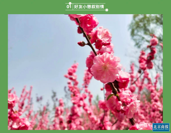 屏幕快照 下午1.08.38