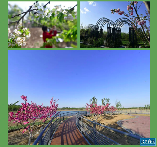 屏幕快照 下午1.16.46