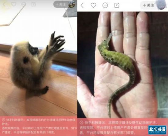 快手警示标注示例