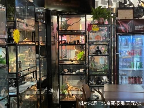 图片来源：北京商报 张天元/摄