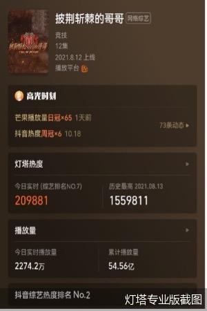 灯塔专业版截图