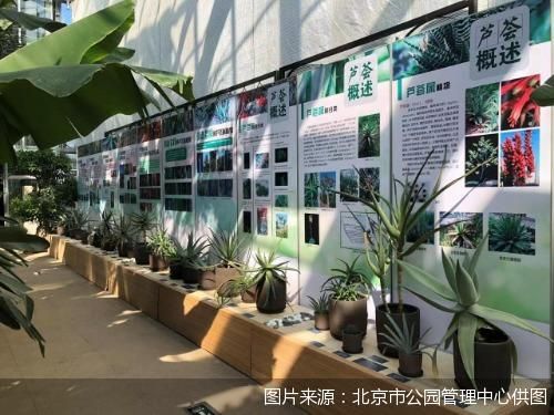 图片来源：北京市公园管理中心供图