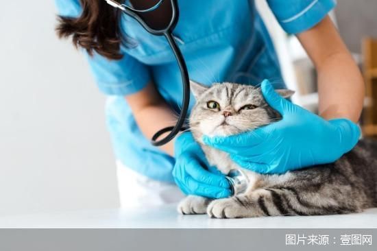 图片来源：壹图网