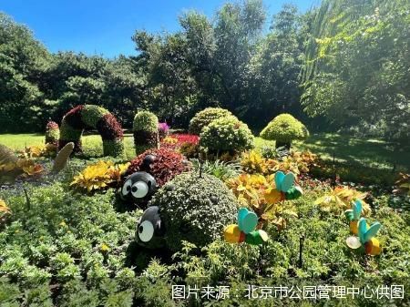 图片来源：北京市公园管理中心供图