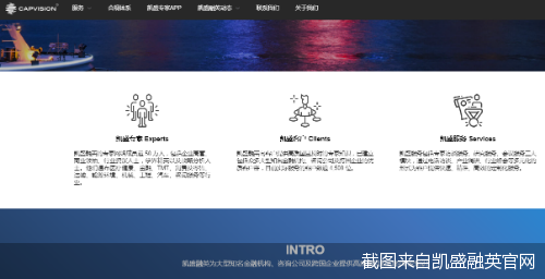 截图来自凯盛融英官网