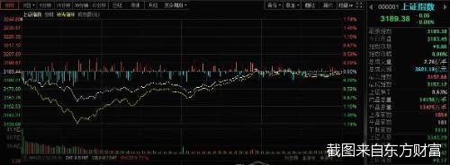 截图来自东方财富