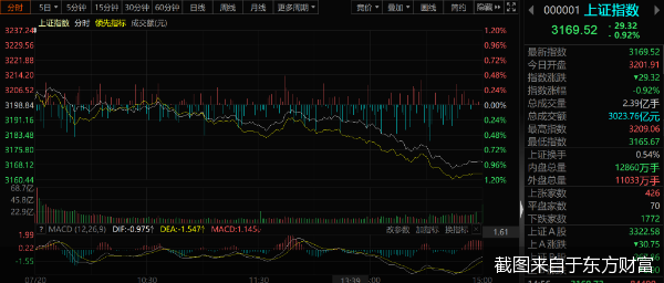 截图来自于东方财富
