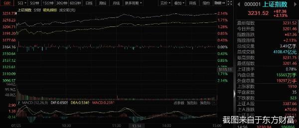 截图来自于东方财富