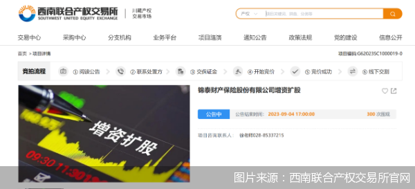 图片来源：西南联合产权交易所官网