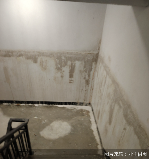 图片来源：业主供图