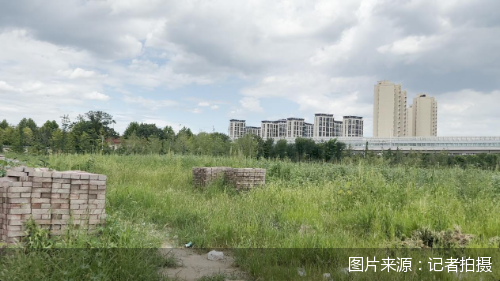 图片来源：记者拍摄