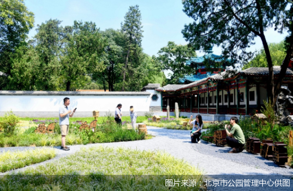 图片来源：北京市公园管理中心供图