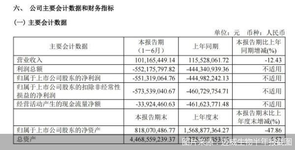 图片来源：迈威生物半年报截图