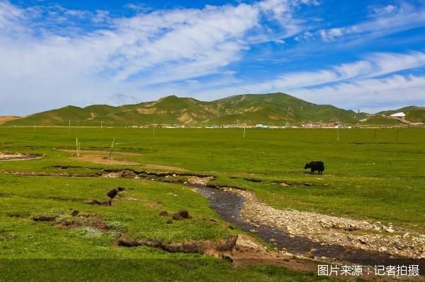图片来源：记者拍摄