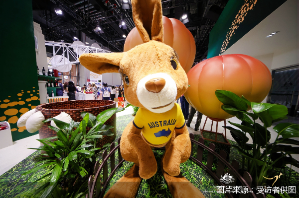 图片来源:受访者供图