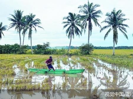 视觉中国/图