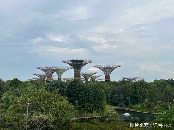 图片来源:记者拍摄