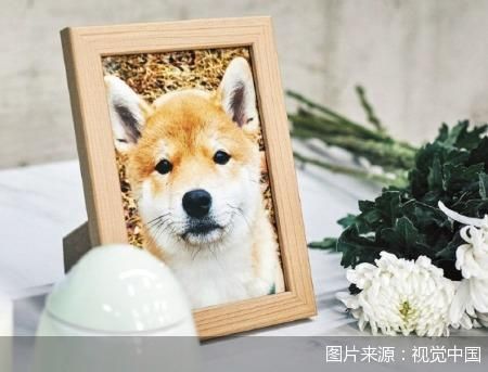 图片来源:视觉中国