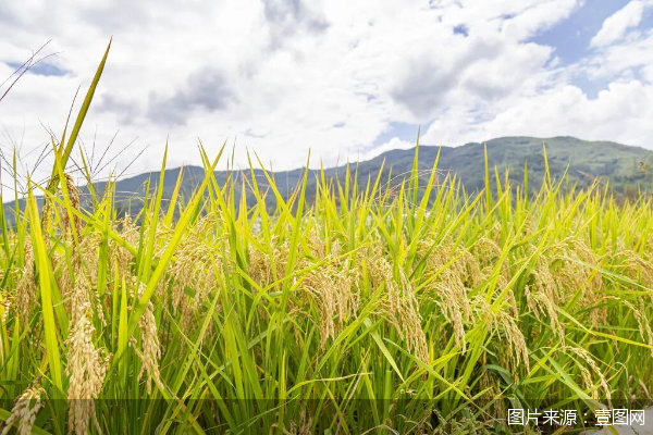 图片来源：壹图网