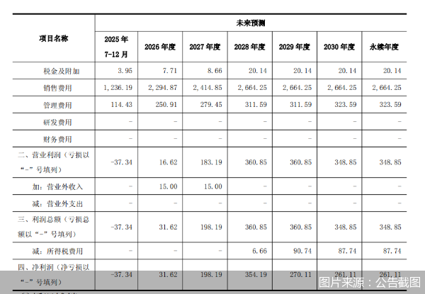 图片来源:公告截图