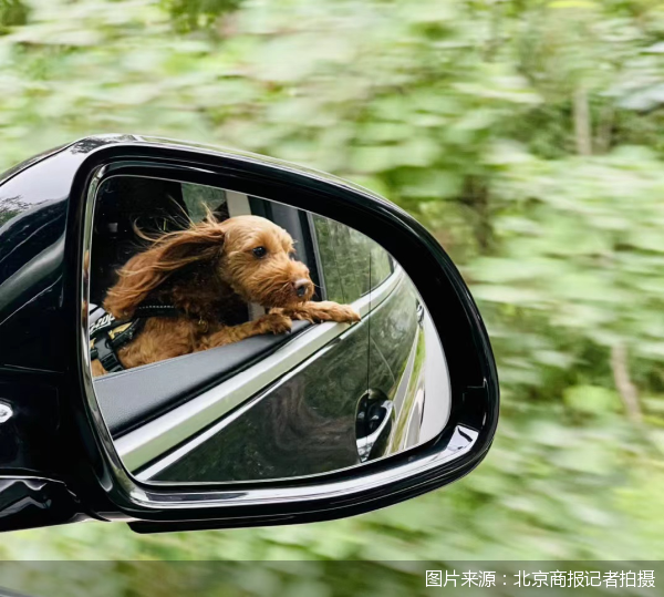 图片来源：北京商报记者拍摄