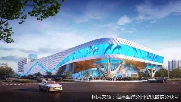 图片来源:海昌海洋公园资讯微信公众号