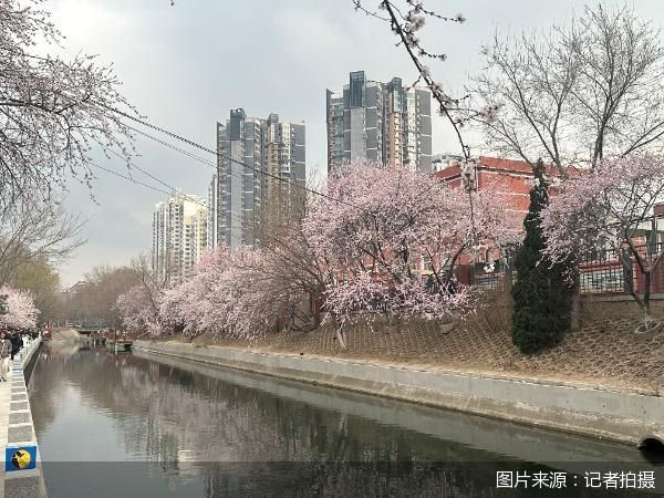 图片来源：记者拍摄