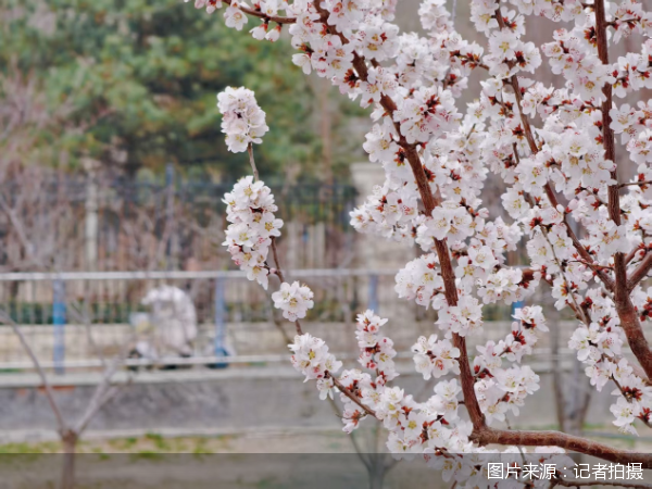 图片来源：记者拍摄