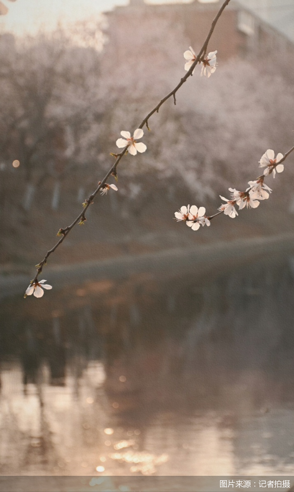 图片来源：记者拍摄