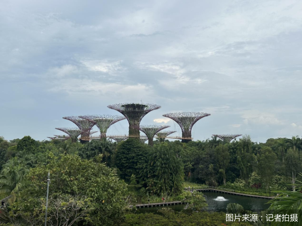 图片来源：记者拍摄