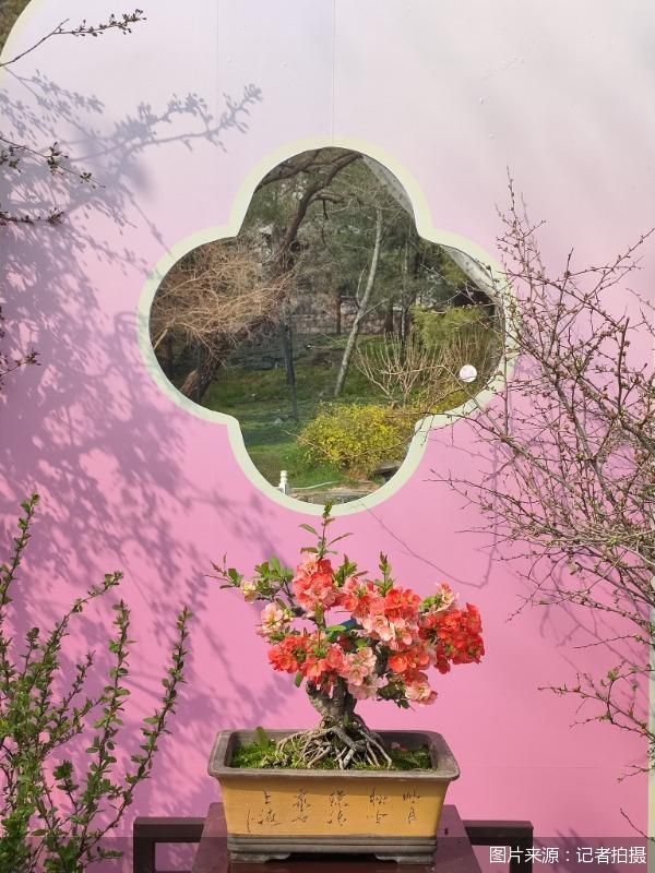 图片来源:记者拍摄