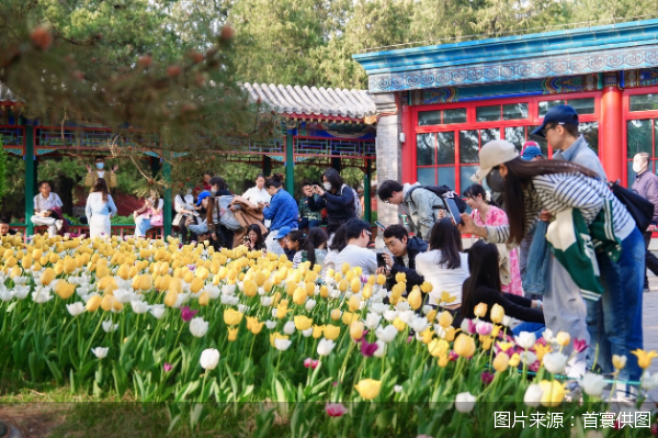 图片来源:首寰供图