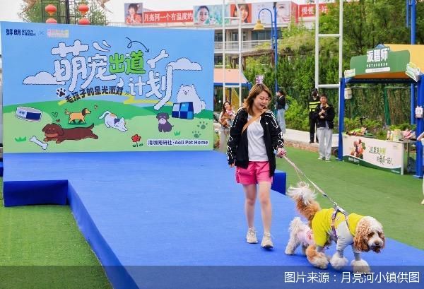 图片来源：月亮河小镇供图
