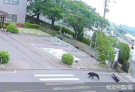 视觉中国/图