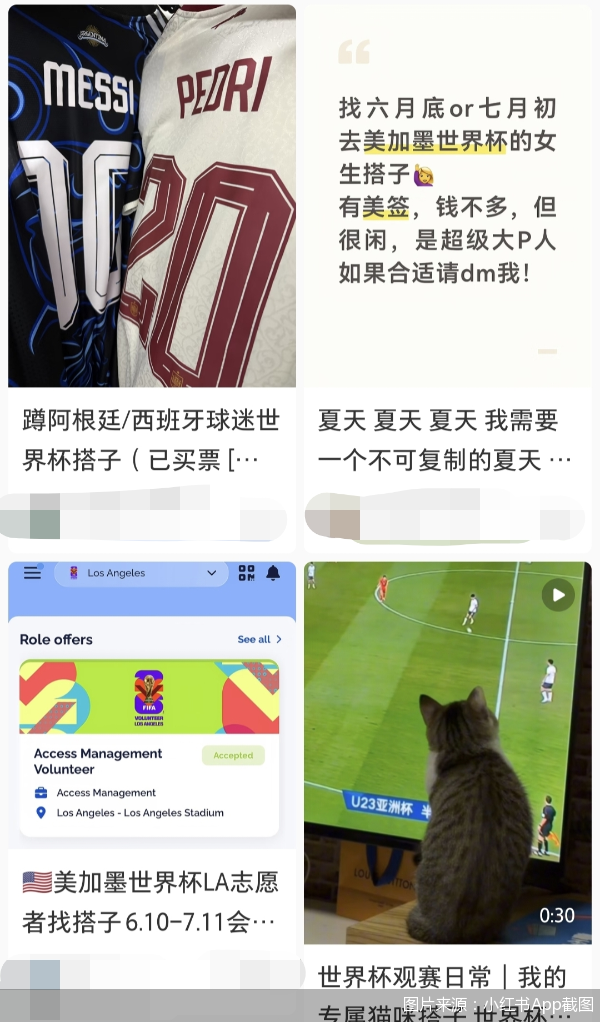 图片来源:小红书App截图