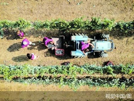 视觉中国/图