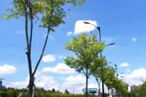 泰禾3.79亿转让杭州蒋村项目51%股权予世茂股份