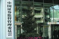 证监会市场部主任李继尊：科创板首批上市企业要一定的数量