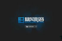 暴风集团实控人冯鑫被刑拘原因曝光！涉嫌行贿