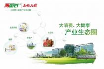 剥离亏损资产 两面针断臂求生