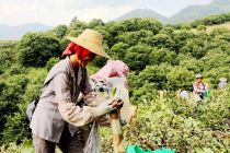 中国电信：多种形式扶贫由南到北