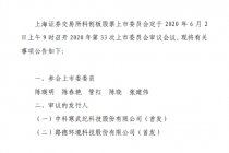 排队逾两个月 寒武纪“闪电”上会迎考