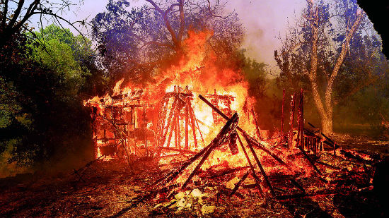 美国加州野火燃烧