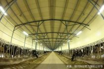 重操终端奶“旧业”现代牧业欲摆脱蒙牛依赖？