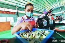 政策扶贫“应兜尽兜”